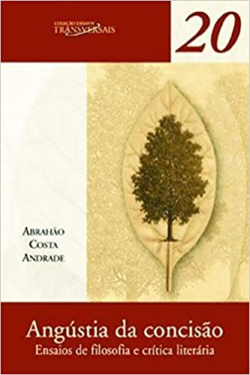 Angustia Da Concisao - Ensaios De Filosofia E Critica Literaria