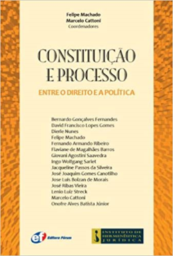 Constituicao E Processo - Entre O Direito E A Politica