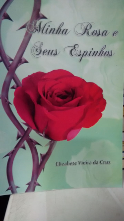 Minha Rosa E Seus Espinhos