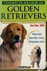 Conhecer Melhor Os Golden Retrievers