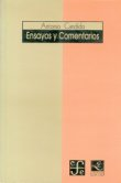 Ensayos Y Comentarios