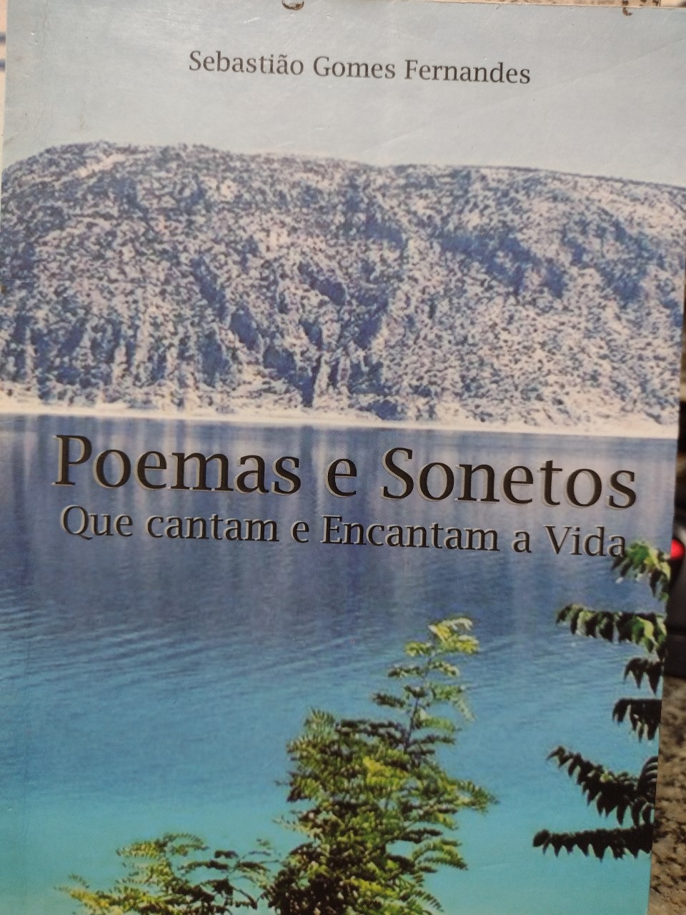 Poemas E Sonetos Que Cantam E Encantam A Vida