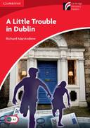A Little Trouble In Dublin