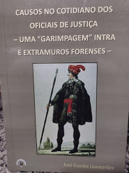 Causos No Cotidiano Dos Oficias De Justica Uma Garimpagem Intra E Extramuros Forenses
