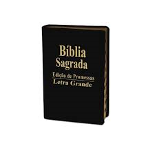 Biblia Edicao De Promessas