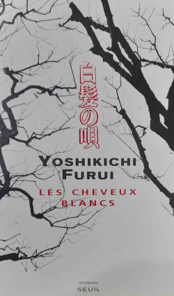 Les Cheveux Blancs - Roman
