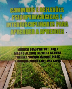 Caminhos E Reflexoes Psicopedagogicas E Interdisciplinares Para Aprender A Aprender