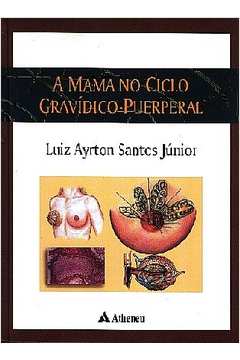 A mama no ciclo gravidico puerperal