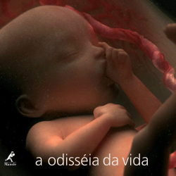 Odisseia Da Vida, A