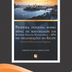 Primeira Pesquisa Sobre Nivel De Maturidade Em Business Process Management - Bpmem Organizacoes Do Recife
