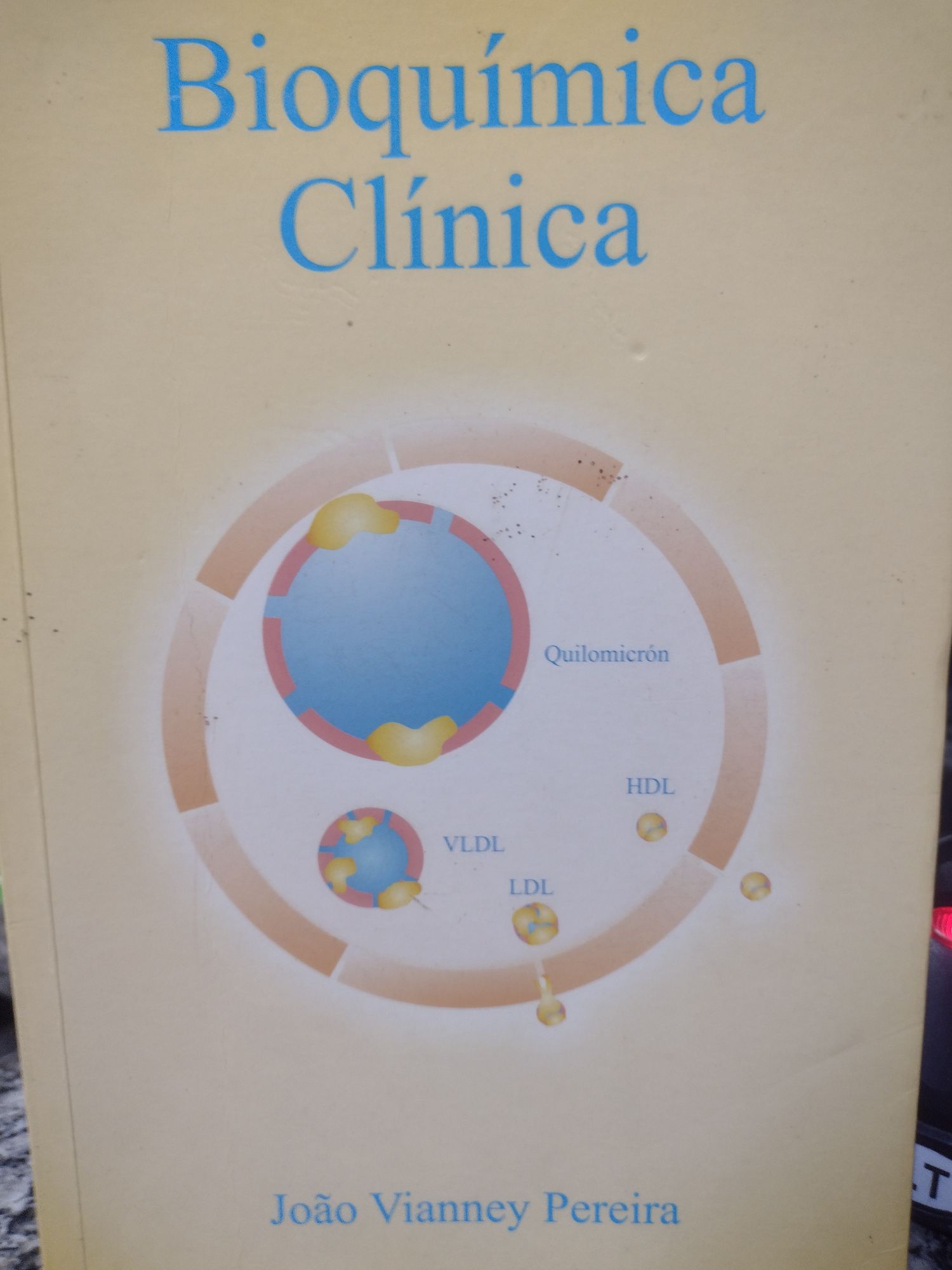 Bioquimica Clinica