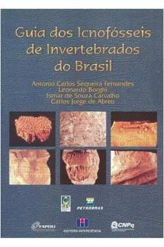 Guia Dos Icnofosseis De Invertebrados Do Brasil