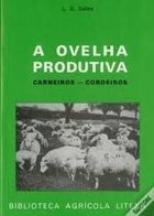 A ovelha Produtiva - Carneiros Cordeiros