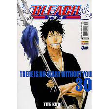 bleach V. 30
