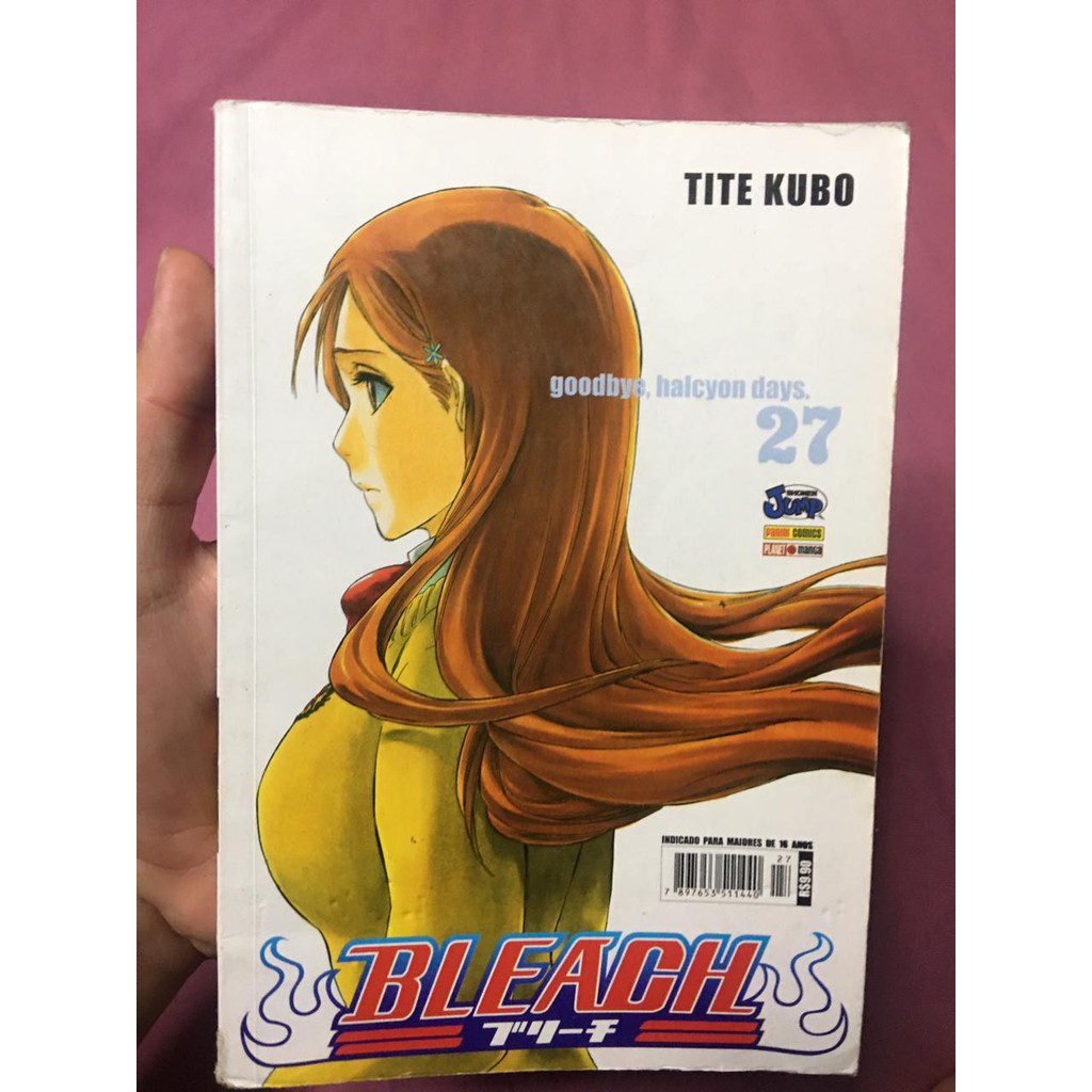 bleach V. 27