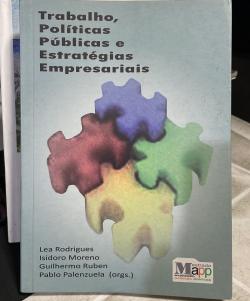 Trabalho Politicas Publicas E Estrategias Empresariais
