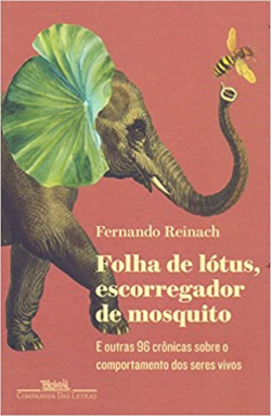 Folha De Lotus Escorregador De Mosquito