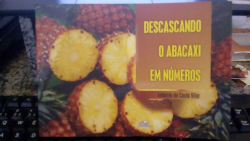 Descascando O Abacaxi Em Numeros