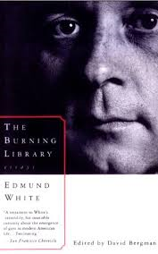 The Burning Library