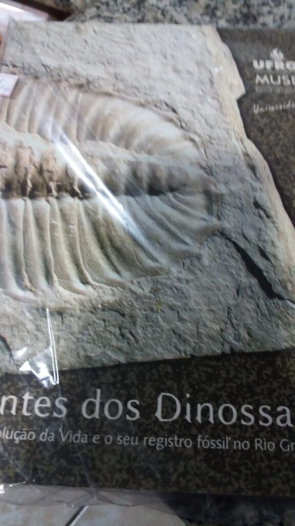 Antes Dos Dinossauros