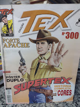 Tex 300 - Forte Apache