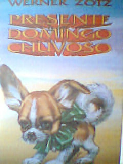 Presente De Um Domingo Chuvoso