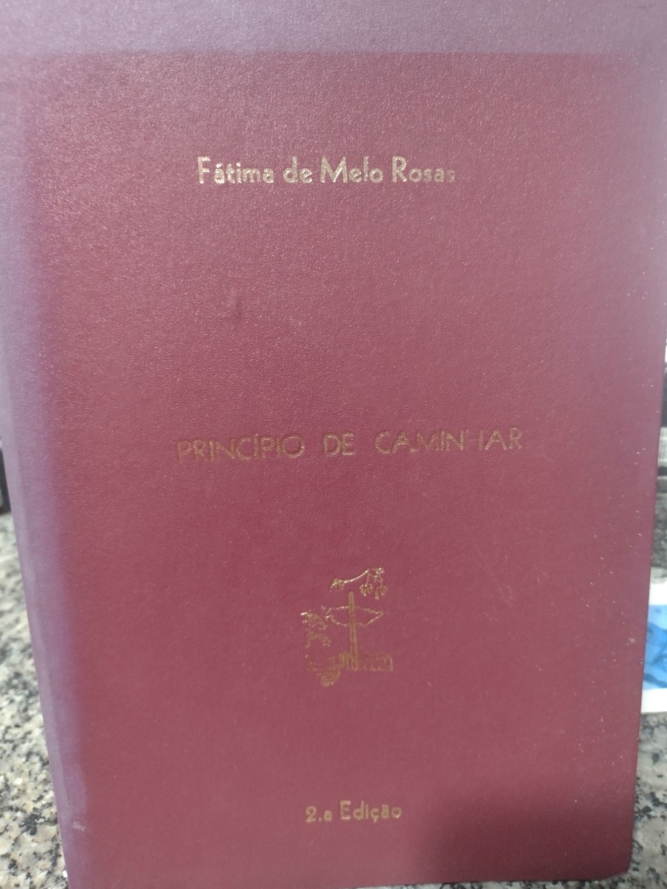 Principio De Caminhar