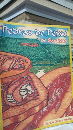 Pedras De Peixe De Santana