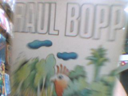 Seleta Em Prosa E Verso - Raul Bopp