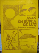Asas Em Busca De Luz - Trovas E Quadras