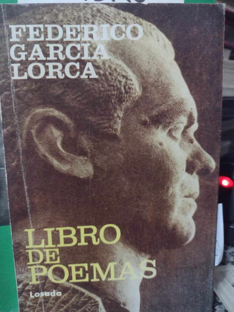 Libro De Poemas