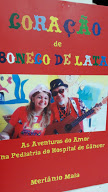Coracao De Boneco De Lata - As Aventuras Do Amor Na Pediatria Do Hospital De Cancer - Autografado