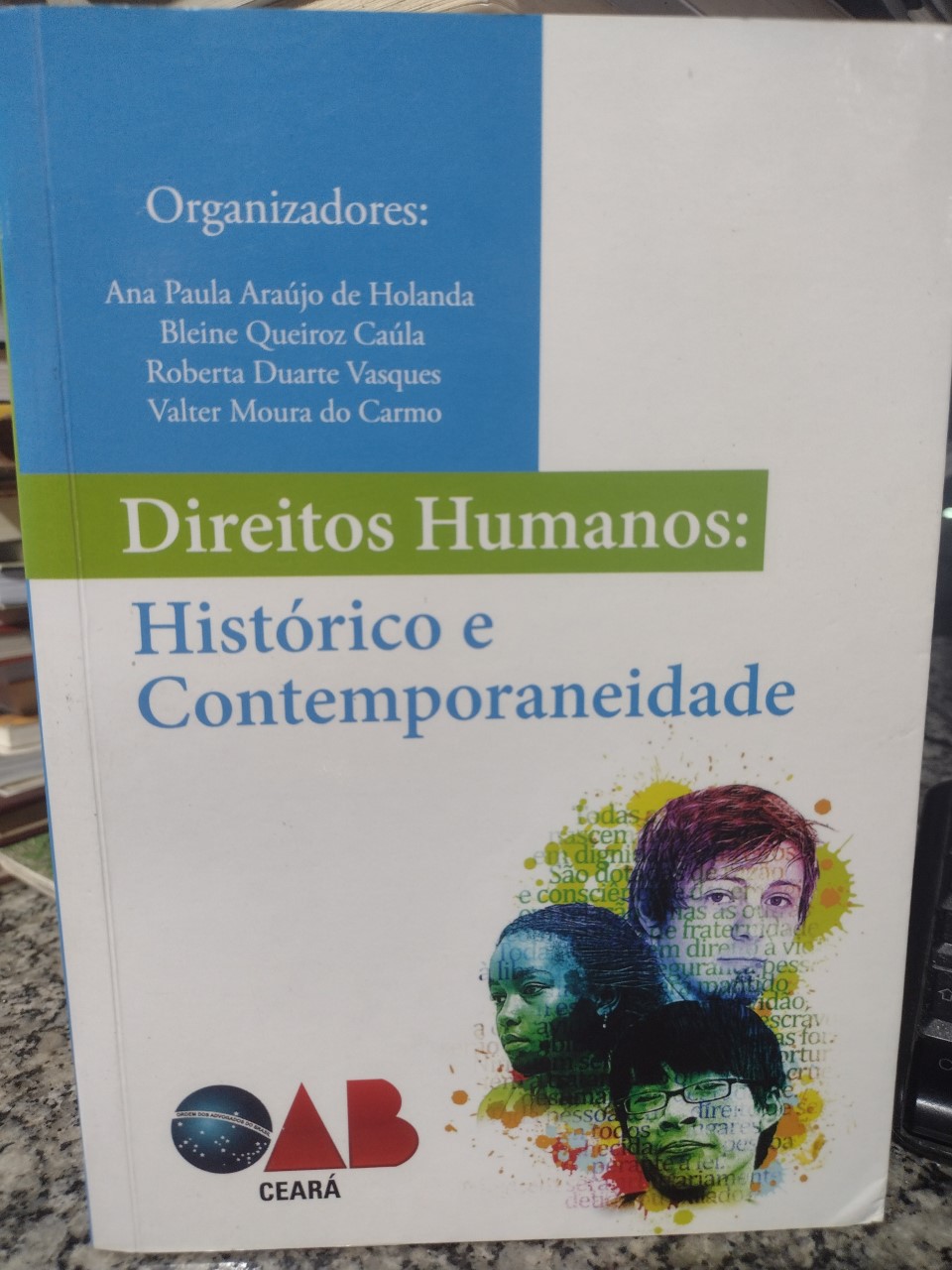 Direitos Humanos Historico E Contemporaneidade