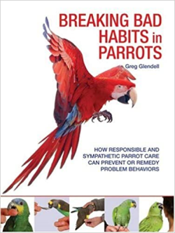 Breaking Bad Habits In Parrots - How Responsible And Sympathetic Parrot Care Can Prevent Or Remedy Problem Behaviors