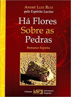 Ha Flores Sobre As Pedras Pelo Espirito Lucius