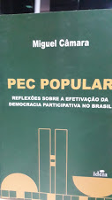 Pec Popular - Reflexoes Sobre A Efetivacao Da Democracia Participativa No Brasil