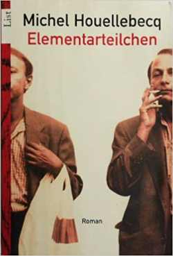 Elementarteilchen - Roman