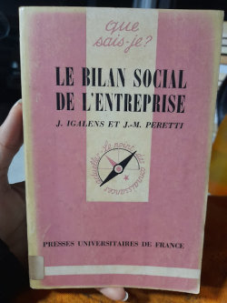 Le Bilan Social De Lentreprise