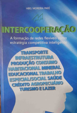 Intercooperacao - A Formacao De Redes Flexiveis Como Estrategia Competitiva Inteligencia