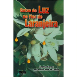 Gotas De Luz Na Flor De Laranjeira