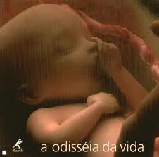 A Odisseia Da Vida