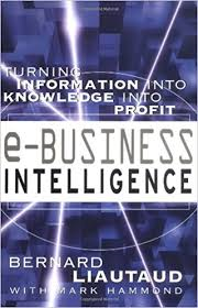 E-business Intelligence