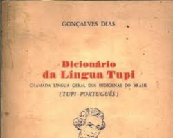 Dicionario Da Lingua Tupi (tupi - Portugues)