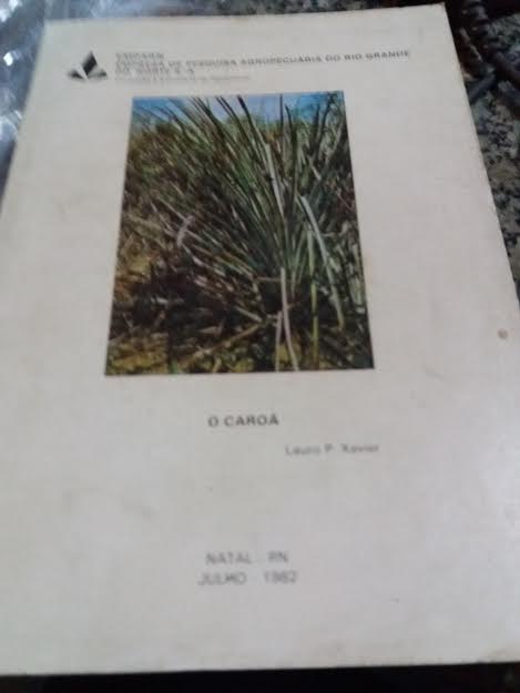O Caroa
