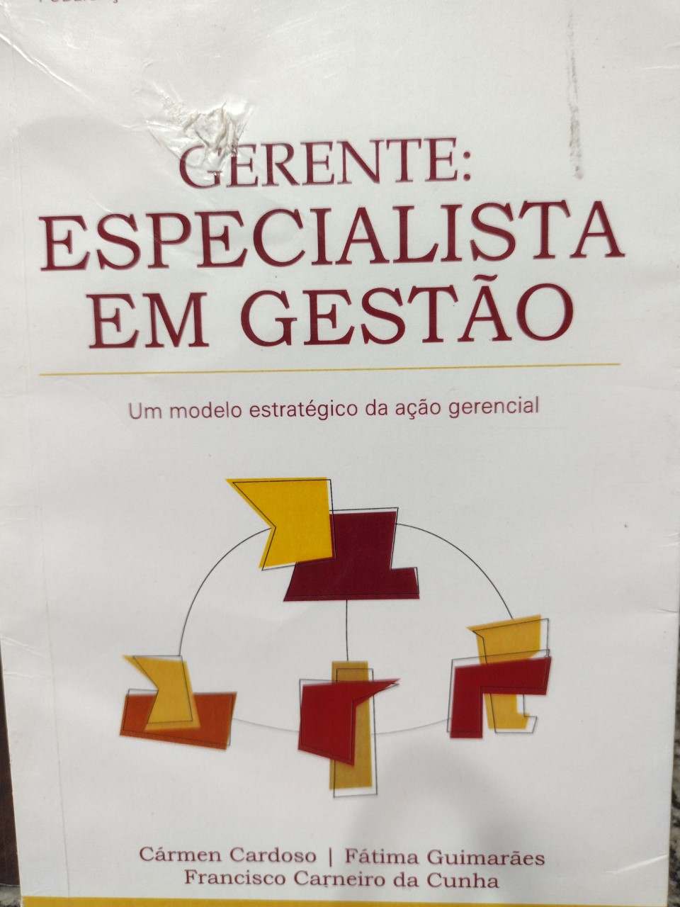 Gerente - Especialista Em Gestao - Um Modelo Estrategico Da Acao Gerencial