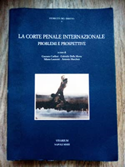 La Corte Penale Internazionale Problemi E Prospettive