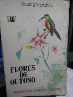 Flores De Outono