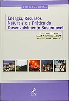 Energia, recursos naturais e a pratica do desenvolvimento sustentável