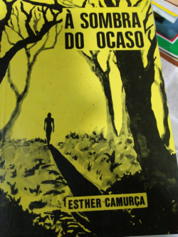 A Sombra Do Acaso
