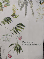 Plantas Da Floresta Amazonica